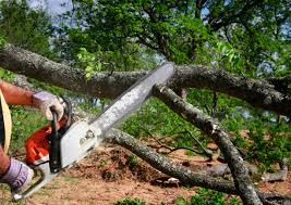 Cherryvale, KS Tree Removal and Landscaping Services Company